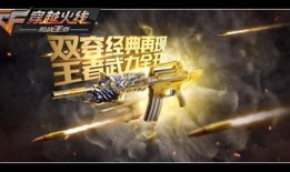 穿越火线最新轮回爆料,轮回新篇章，神秘爆料揭示未来战局